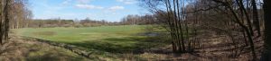 Landschaft